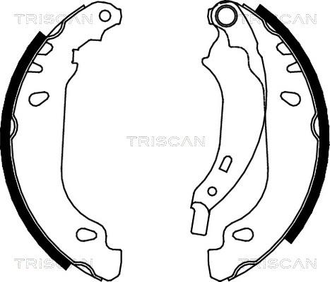 Triscan 8100 25637 - Комплект спирачна челюст vvparts.bg