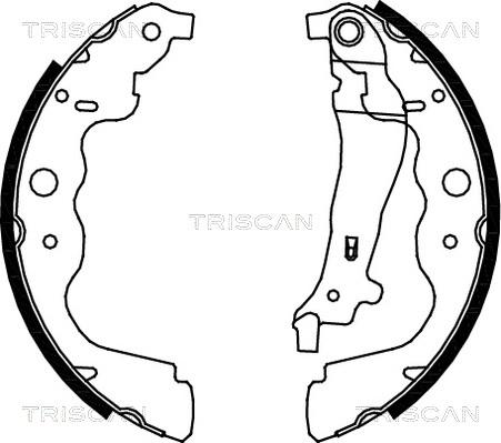 Triscan 8100 25004 - Комплект спирачна челюст vvparts.bg