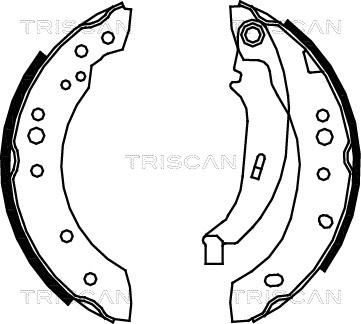 Triscan 8100 25005 - Комплект спирачна челюст vvparts.bg