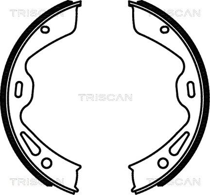 Triscan 8100 20004 - Комплект спирачна челюст, ръчна спирачка vvparts.bg