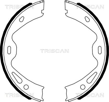 Triscan 8100 20005 - Комплект спирачна челюст, ръчна спирачка vvparts.bg