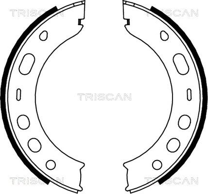 Triscan 8100 20001 - Комплект спирачна челюст, ръчна спирачка vvparts.bg