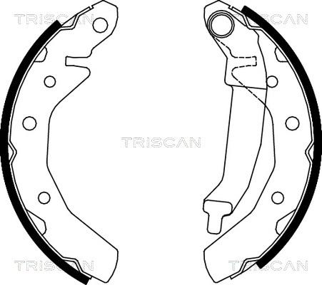 Triscan 8100 21610 - Комплект спирачна челюст vvparts.bg