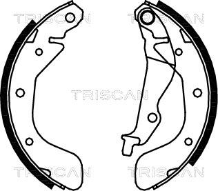 Triscan 8100 21611 - Комплект спирачна челюст vvparts.bg