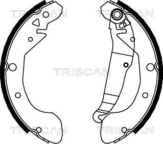 Triscan 8100 21612 - Комплект спирачна челюст vvparts.bg