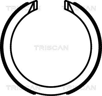 Triscan 8100 21003 - Комплект спирачна челюст, ръчна спирачка vvparts.bg