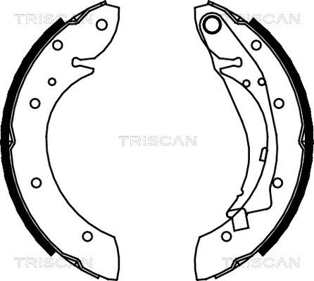 Triscan 8100 28598 - Комплект спирачна челюст vvparts.bg