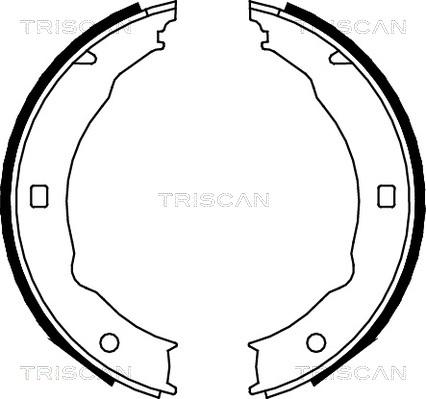 Triscan 8100 28050 - Комплект спирачна челюст, ръчна спирачка vvparts.bg