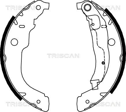 Triscan 8100 28053 - Комплект спирачна челюст vvparts.bg