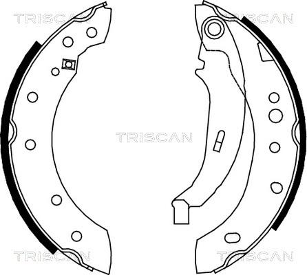 Triscan 8100 28052 - Комплект спирачна челюст vvparts.bg