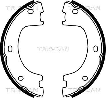 Triscan 8100 23032 - Комплект спирачна челюст vvparts.bg