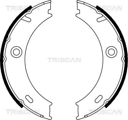 Triscan 8100 23025 - Комплект спирачна челюст, ръчна спирачка vvparts.bg