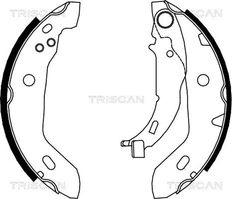 Triscan 8100 23122 - Комплект спирачна челюст vvparts.bg