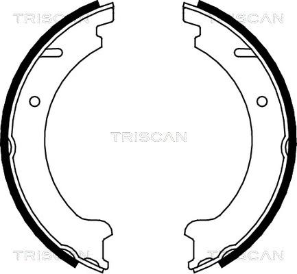 Triscan 8100 27506 - Комплект спирачна челюст, ръчна спирачка vvparts.bg