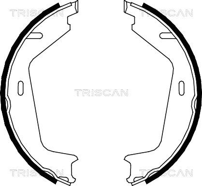 Triscan 8100 27578 - Комплект спирачна челюст, ръчна спирачка vvparts.bg