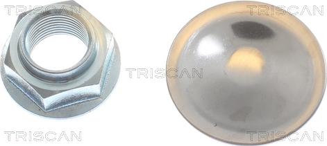 Triscan 8120 101124C - Спирачен диск vvparts.bg