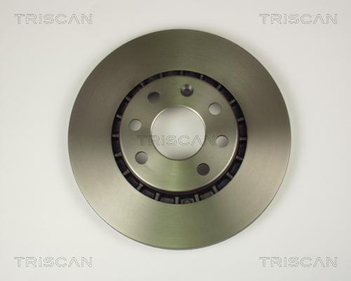 Triscan 8120 24113 - Спирачен диск vvparts.bg