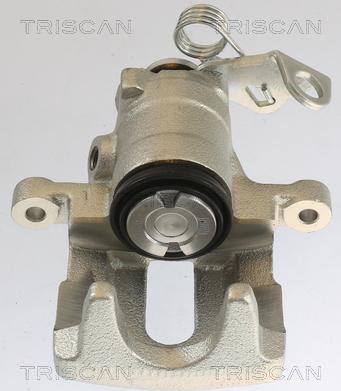 Triscan 8175 10202 - Спирачен апарат vvparts.bg