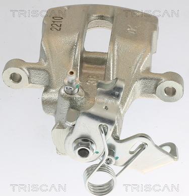 Triscan 8175 10202 - Спирачен апарат vvparts.bg