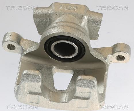 Triscan 8175 10213 - Спирачен апарат vvparts.bg