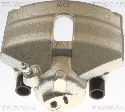 Triscan 8175 29101 - Спирачен апарат vvparts.bg