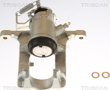 Triscan 8175 24209 - Спирачен апарат vvparts.bg