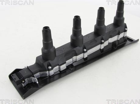 Triscan 8860 6531 - Запалителна бобина vvparts.bg