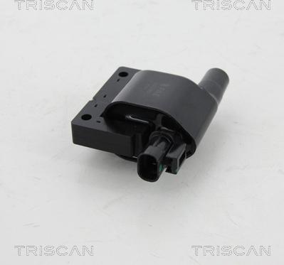 Triscan 8860 14014 - Запалителна бобина vvparts.bg