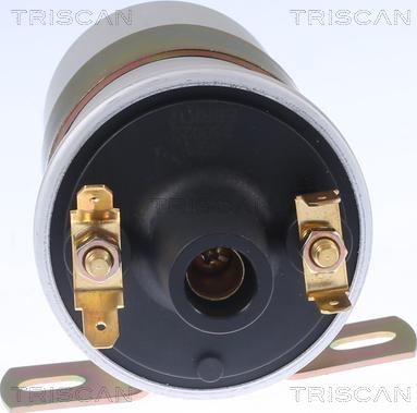 Triscan 8860 10038 - Запалителна бобина vvparts.bg