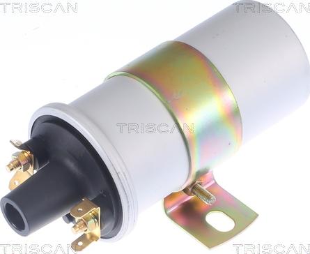 Triscan 8860 10038 - Запалителна бобина vvparts.bg