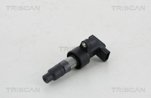 Triscan 8860 10023 - Запалителна бобина vvparts.bg