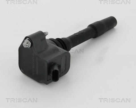 Triscan 8860 11020 - Запалителна бобина vvparts.bg