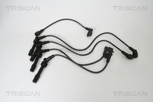 Triscan 8860 24001 - Комплект запалителеи кабели vvparts.bg