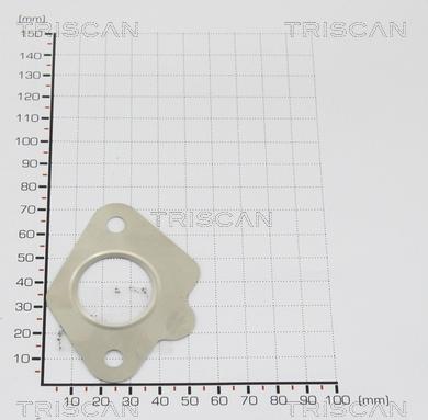 Triscan 8813 9924 - Гарнитура vvparts.bg