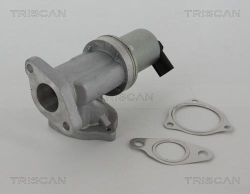 Triscan 8813 43002 - AGR-Клапан vvparts.bg