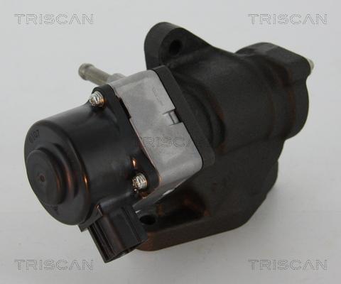 Triscan 8813 14005 - AGR-Клапан vvparts.bg