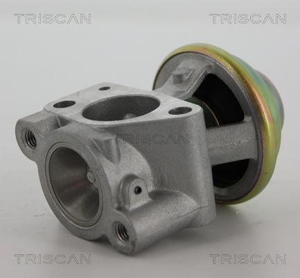 Triscan 8813 15040 - AGR-Клапан vvparts.bg