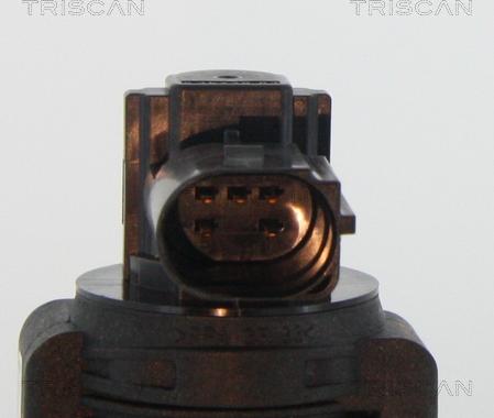 Triscan 8813 15063 - AGR-Клапан vvparts.bg