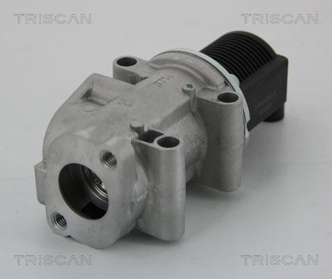 Triscan 8813 15032 - AGR-Клапан vvparts.bg