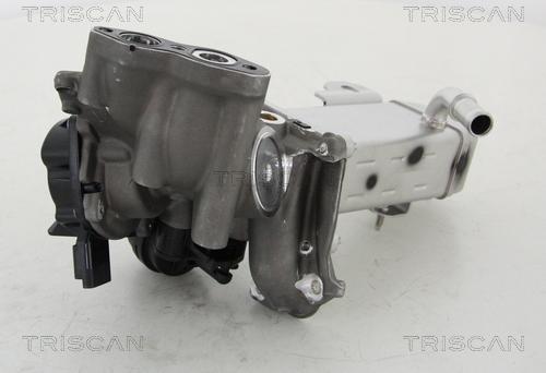 Triscan 8813 16014 - AGR-Клапан vvparts.bg