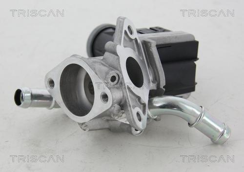 Triscan 8813 16036 - AGR-Клапан vvparts.bg