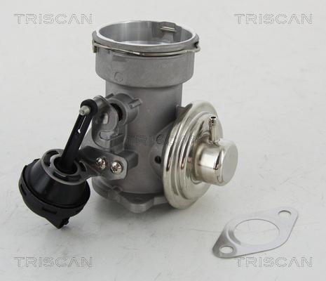 Triscan 8813 16023 - AGR-Клапан vvparts.bg