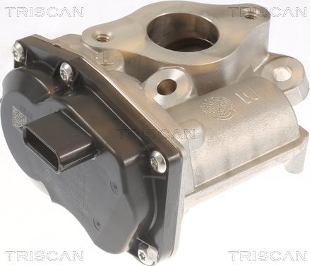 Triscan 8813 10055 - AGR-Клапан vvparts.bg