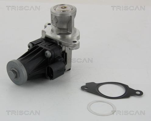 Triscan 8813 10004 - AGR-Клапан vvparts.bg