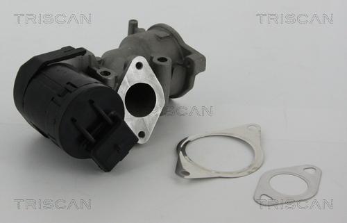 Triscan 8813 10001 - AGR-Клапан vvparts.bg