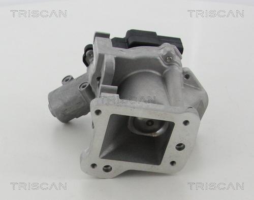 Triscan 8813 10007 - AGR-Клапан vvparts.bg