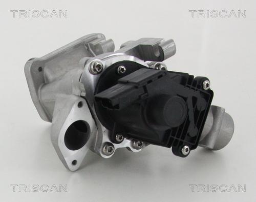Triscan 8813 10007 - AGR-Клапан vvparts.bg