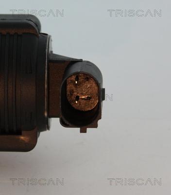 Triscan 8813 10015 - AGR-Клапан vvparts.bg