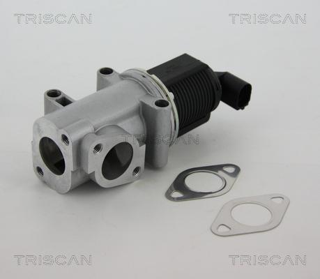 Triscan 8813 10015 - AGR-Клапан vvparts.bg