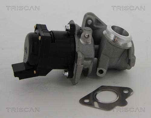 Triscan 8813 10010 - AGR-Клапан vvparts.bg